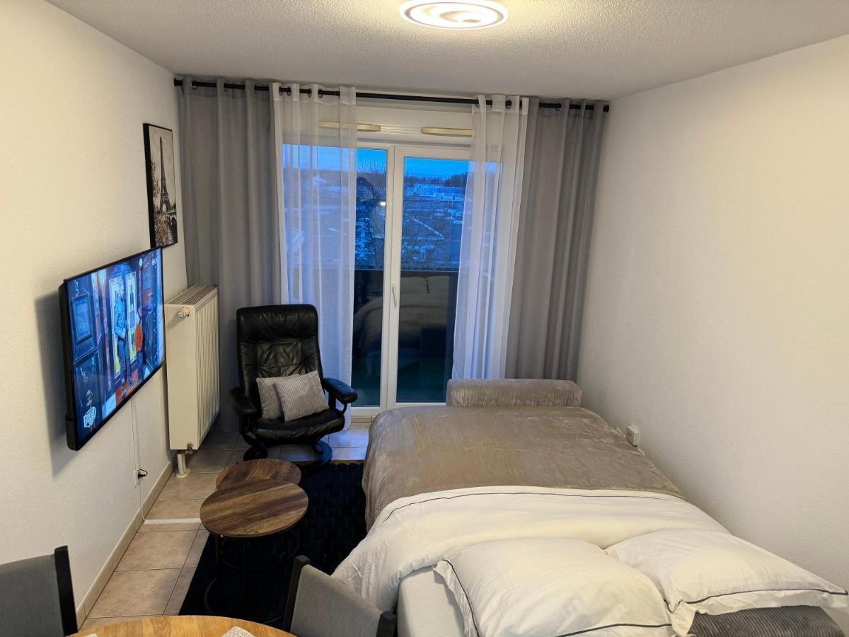 Appartement Calme Avec Balcon, A 4Km Du Centre, Parking, Wi-Fi, Netflix Gratuit Strasbourg Kültér fotó